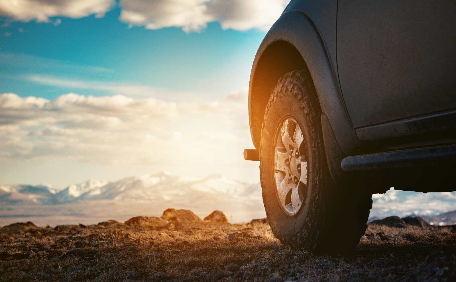 T-Roc vs Ateca: ¿cuál es el crossover más adecuado para ti?