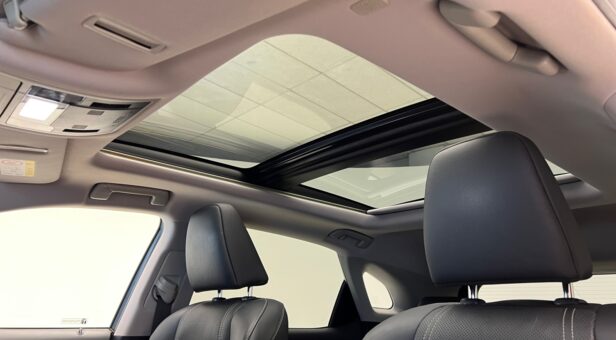 LEXUS RX 450h EXECUTIVE AUTO 3.5 313 5P LEXUS RX 450h EXECUTIVE AUTO 3.5 313 5P